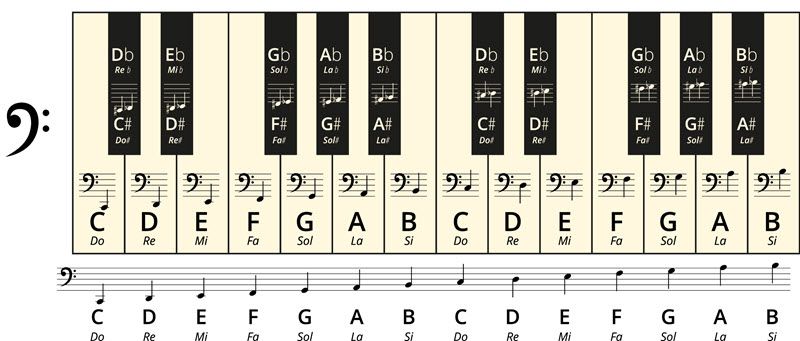 Nom des notes de musique sur une portée en clef de fa avec un clavier de piano