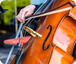 Le violoncelle - Les instruments de musique