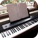 Utilisez le piano virtuel pour jouer et travailler
