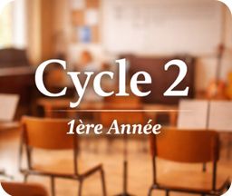 Cycle 2 - Première année